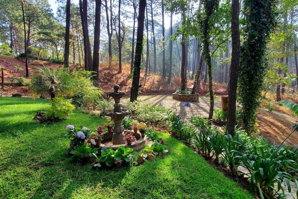 Cabana Rustica A 1Km De Cascada Mazamitla Zewnętrze zdjęcie