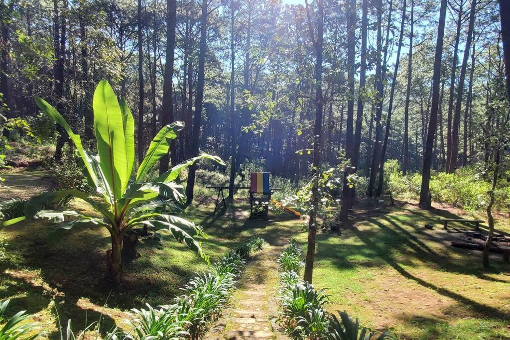 Cabana Rustica A 1Km De Cascada Mazamitla Zewnętrze zdjęcie